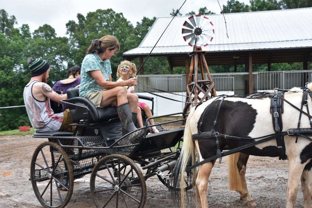 mimosa farm 2019 078 (1024x683).jpg